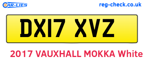 DX17XVZ are the vehicle registration plates.