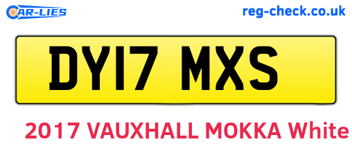 DY17MXS are the vehicle registration plates.