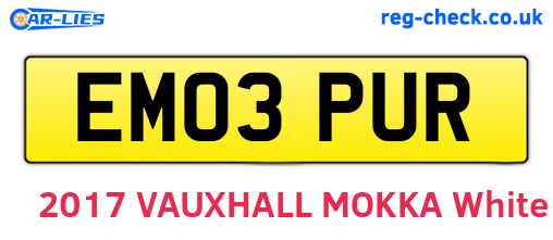 EM03PUR are the vehicle registration plates.