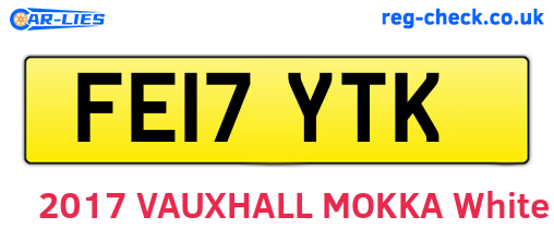 FE17YTK are the vehicle registration plates.