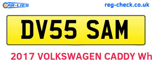 DV55SAM are the vehicle registration plates.