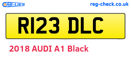 R123DLC are the vehicle registration plates.