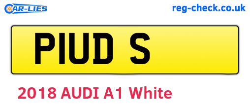 P1UDS are the vehicle registration plates.