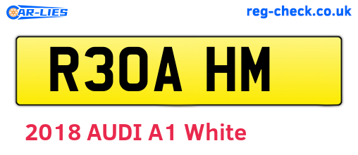 R30AHM are the vehicle registration plates.