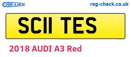 SC11TES are the vehicle registration plates.