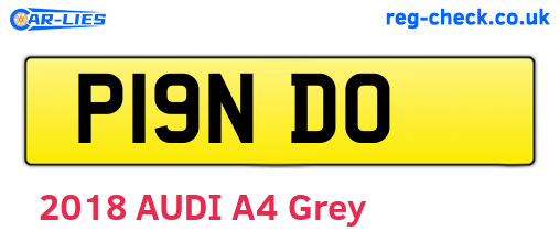 P19NDO are the vehicle registration plates.