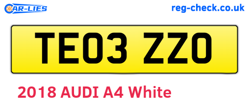 TE03ZZO are the vehicle registration plates.