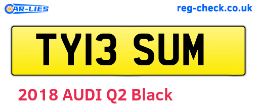 TY13SUM are the vehicle registration plates.