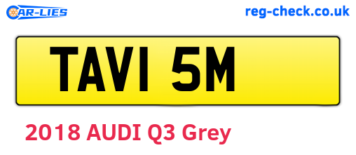 TAV15M are the vehicle registration plates.