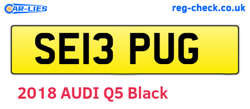 SE13PUG are the vehicle registration plates.