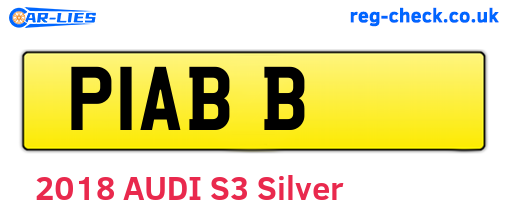 P1ABB are the vehicle registration plates.