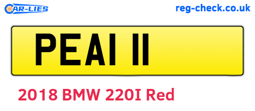 PEA111 are the vehicle registration plates.