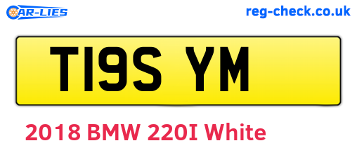 T19SYM are the vehicle registration plates.