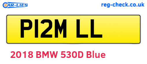 P12MLL are the vehicle registration plates.