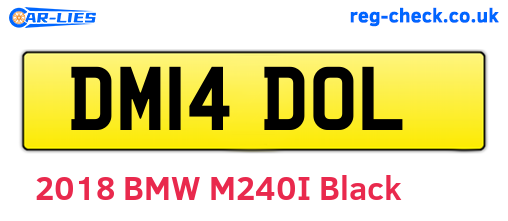 DM14DOL are the vehicle registration plates.