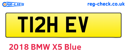 T12HEV are the vehicle registration plates.