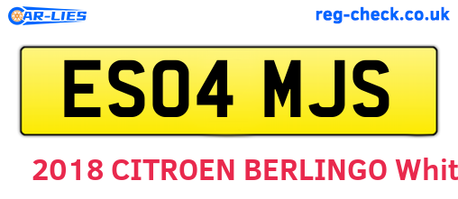 ES04MJS are the vehicle registration plates.