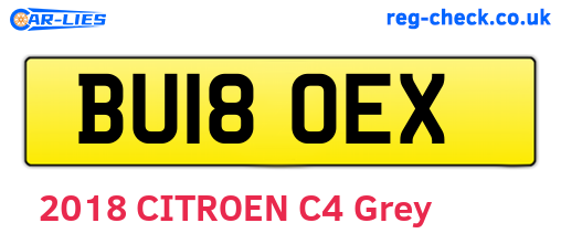 BU18OEX are the vehicle registration plates.