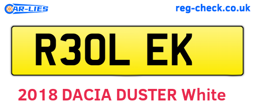R30LEK are the vehicle registration plates.
