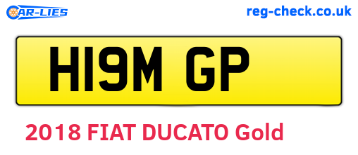 H19MGP are the vehicle registration plates.