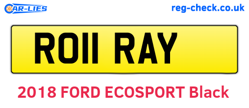 RO11RAY are the vehicle registration plates.