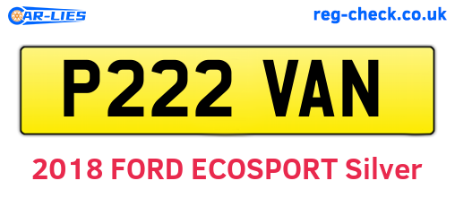 P222VAN are the vehicle registration plates.