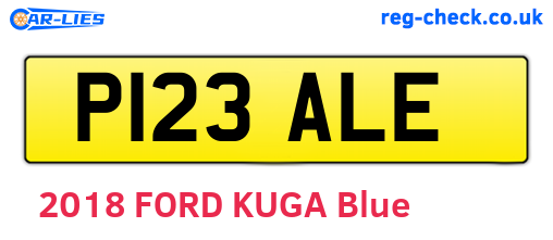 P123ALE are the vehicle registration plates.