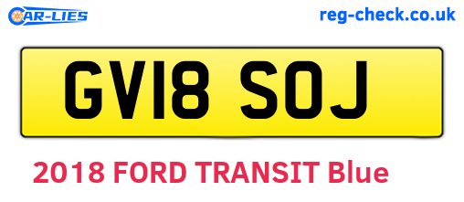 GV18SOJ are the vehicle registration plates.