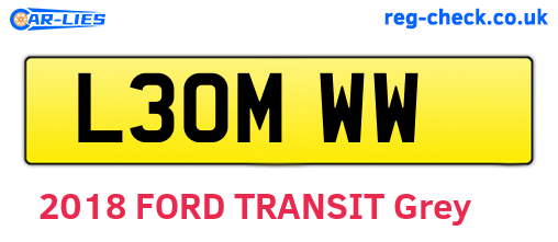 L30MWW are the vehicle registration plates.