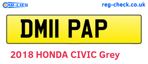 DM11PAP are the vehicle registration plates.