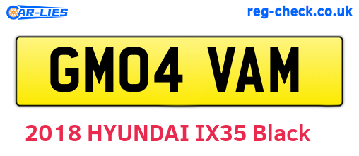 GM04VAM are the vehicle registration plates.