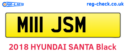 M111JSM are the vehicle registration plates.