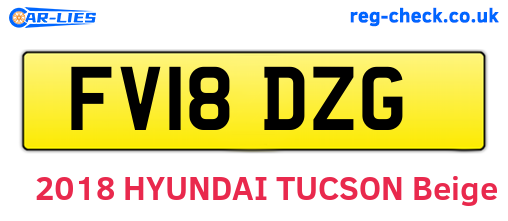 FV18DZG are the vehicle registration plates.