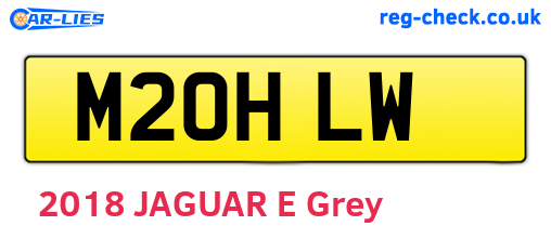 M20HLW are the vehicle registration plates.