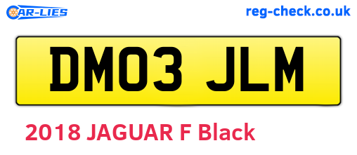 DM03JLM are the vehicle registration plates.