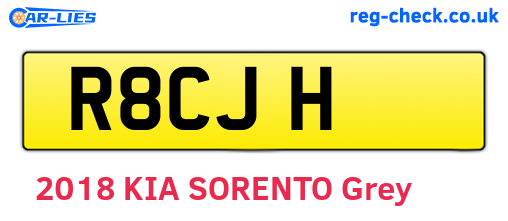 R8CJH are the vehicle registration plates.