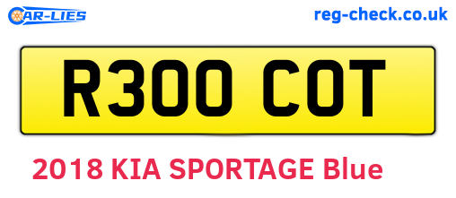 R300COT are the vehicle registration plates.