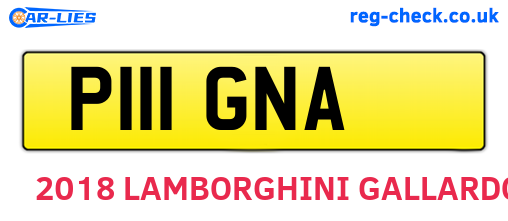 P111GNA are the vehicle registration plates.
