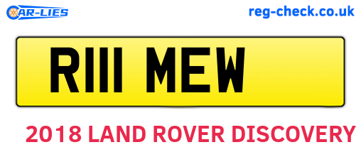 R111MEW are the vehicle registration plates.