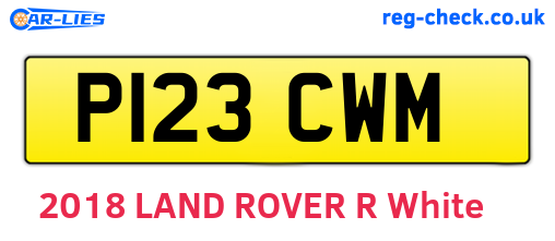 P123CWM are the vehicle registration plates.