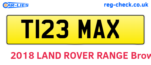 T123MAX are the vehicle registration plates.
