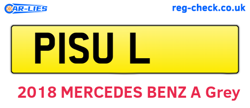P1SUL are the vehicle registration plates.