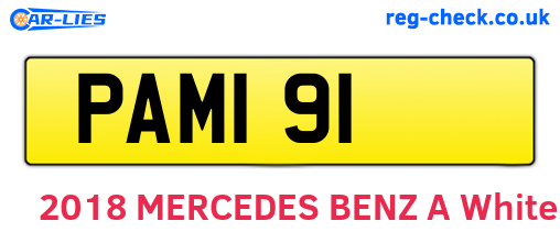 PAM191 are the vehicle registration plates.