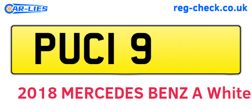 PUC19 are the vehicle registration plates.