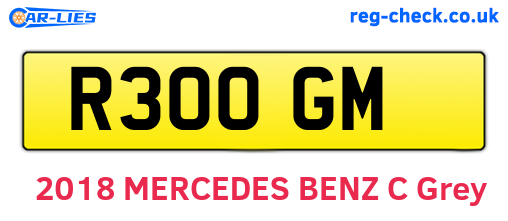 R30OGM are the vehicle registration plates.