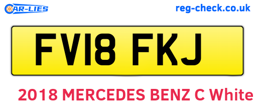 FV18FKJ are the vehicle registration plates.