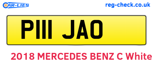 P111JAO are the vehicle registration plates.