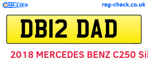 DB12DAD are the vehicle registration plates.