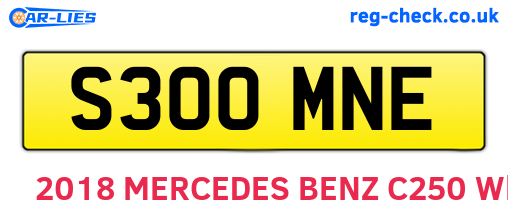 S300MNE are the vehicle registration plates.