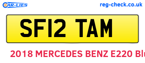SF12TAM are the vehicle registration plates.